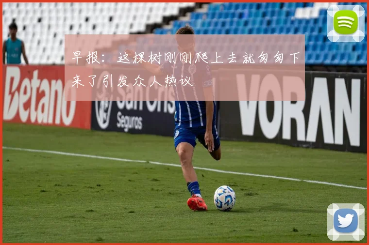 早报：这棵树刚刚爬上去就匆匆下来了引发众人热议
