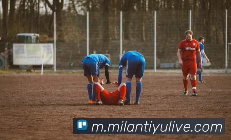 米兰体育平台生态图