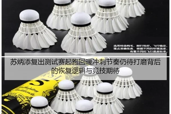 苏炳添复出测试赛起跑回暖冲刺节奏仍待打磨背后的恢复逻辑与竞技期待 | MILANSPORT